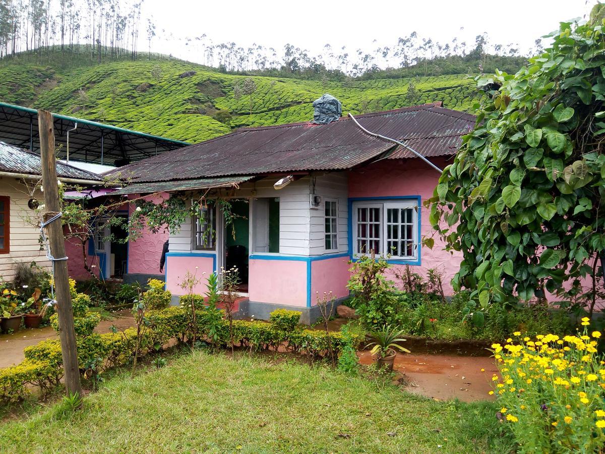 Zina Cottage Munnar Eksteriør bilde